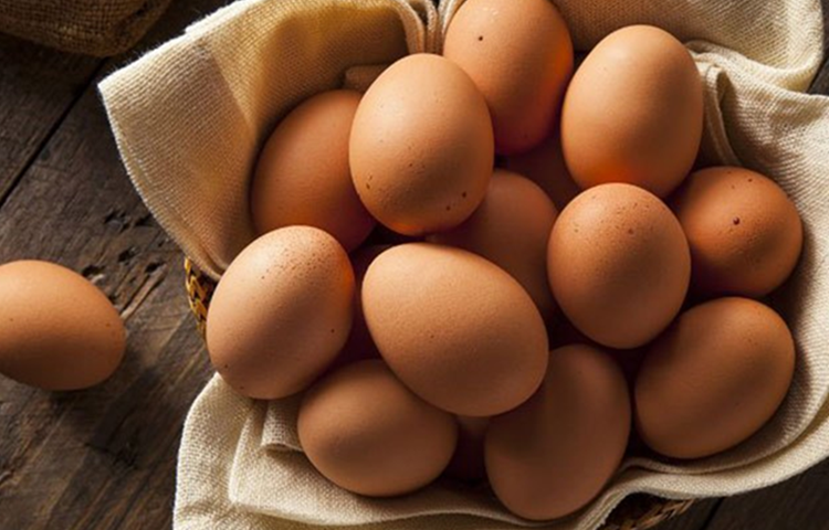 Chicken Farm Fresh Organic Eggs