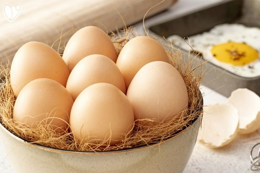 Chicken Farm Fresh Organic Eggs