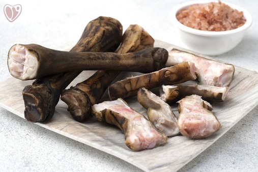 Goat Paya Burnt