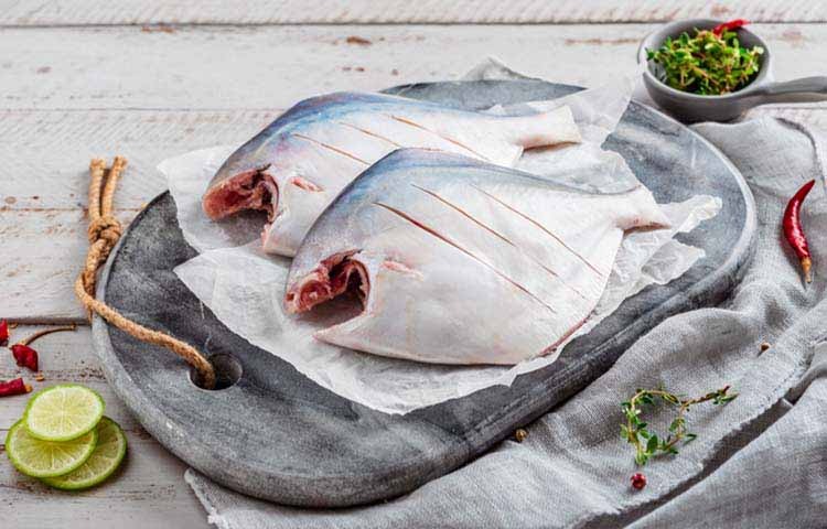 Silver Pomfret